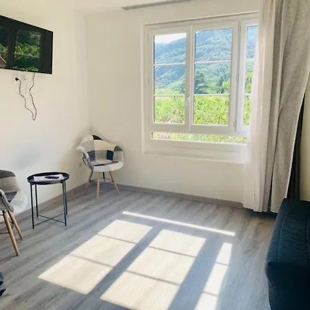 Spacieux F2 Avec Jardin, Terrasse, Et Commodites Pres Des Thermes - - Fr-1-703-160