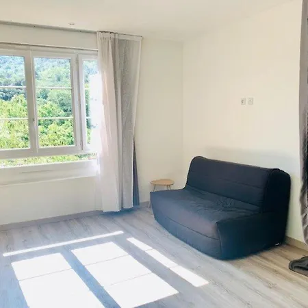 Spacieux F2 Avec Jardin, Terrasse, Et Commodites Pres Des Thermes - - Fr-1-703-160 Amelie-les-Bains-Palalda
