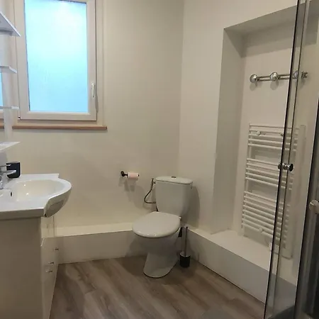 Spacieux F2 Avec Jardin, Terrasse, Et Commodites Pres Des Thermes - - Fr-1-703-160 * Amelie-les-Bains-Palalda